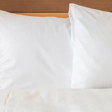 Crowne Plaza Toulouse, An Ihg Hotel 4*